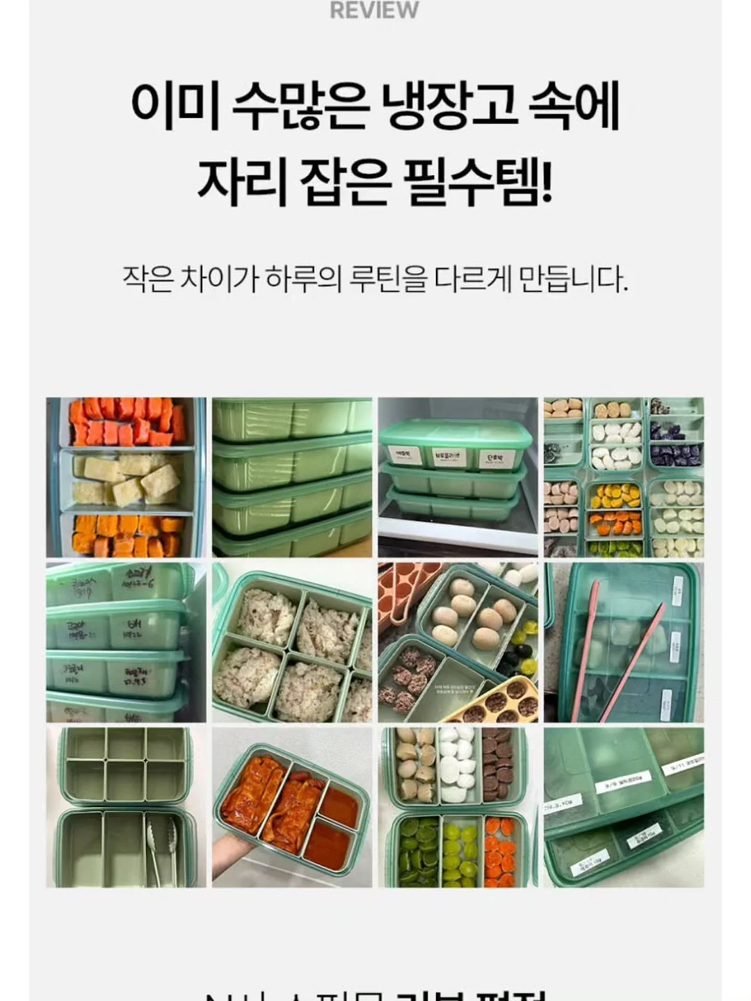 힐링 식물 6