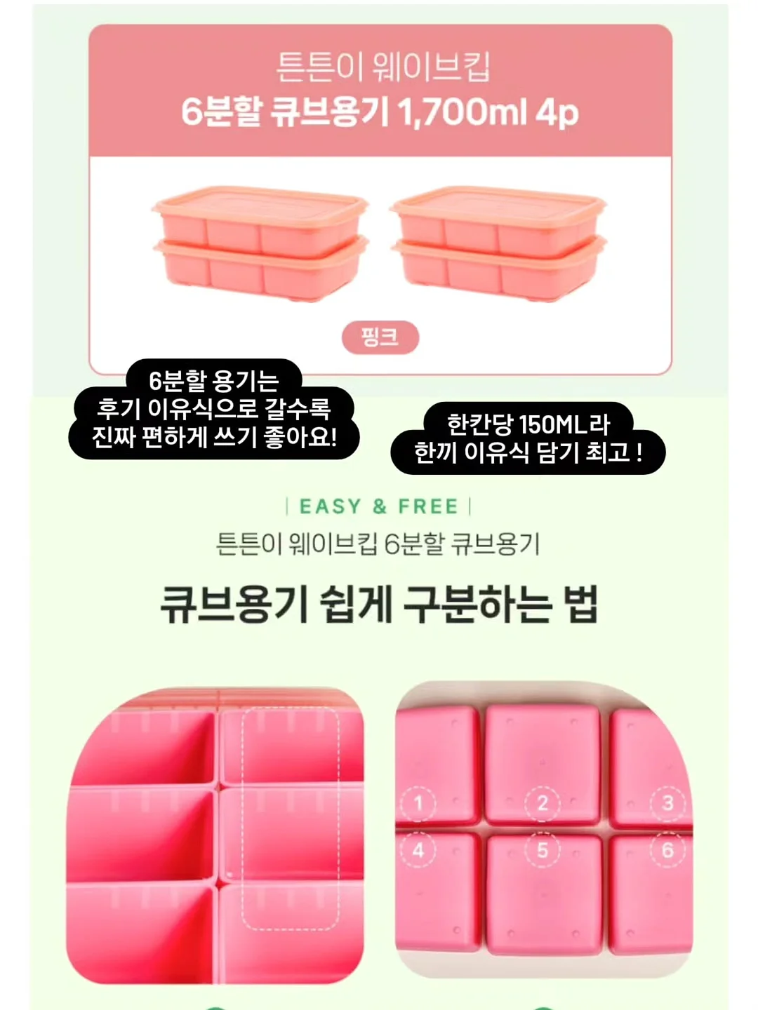 힐링 식물 8