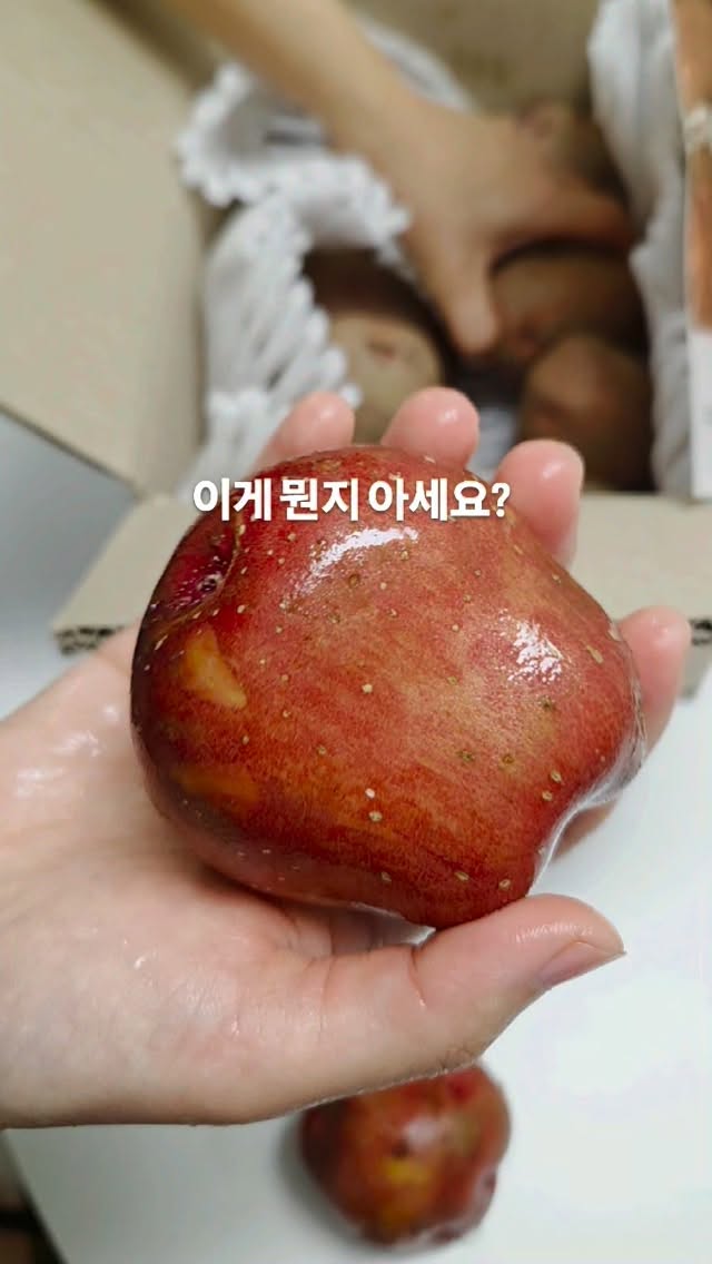 바지오 단백질 쉐이크