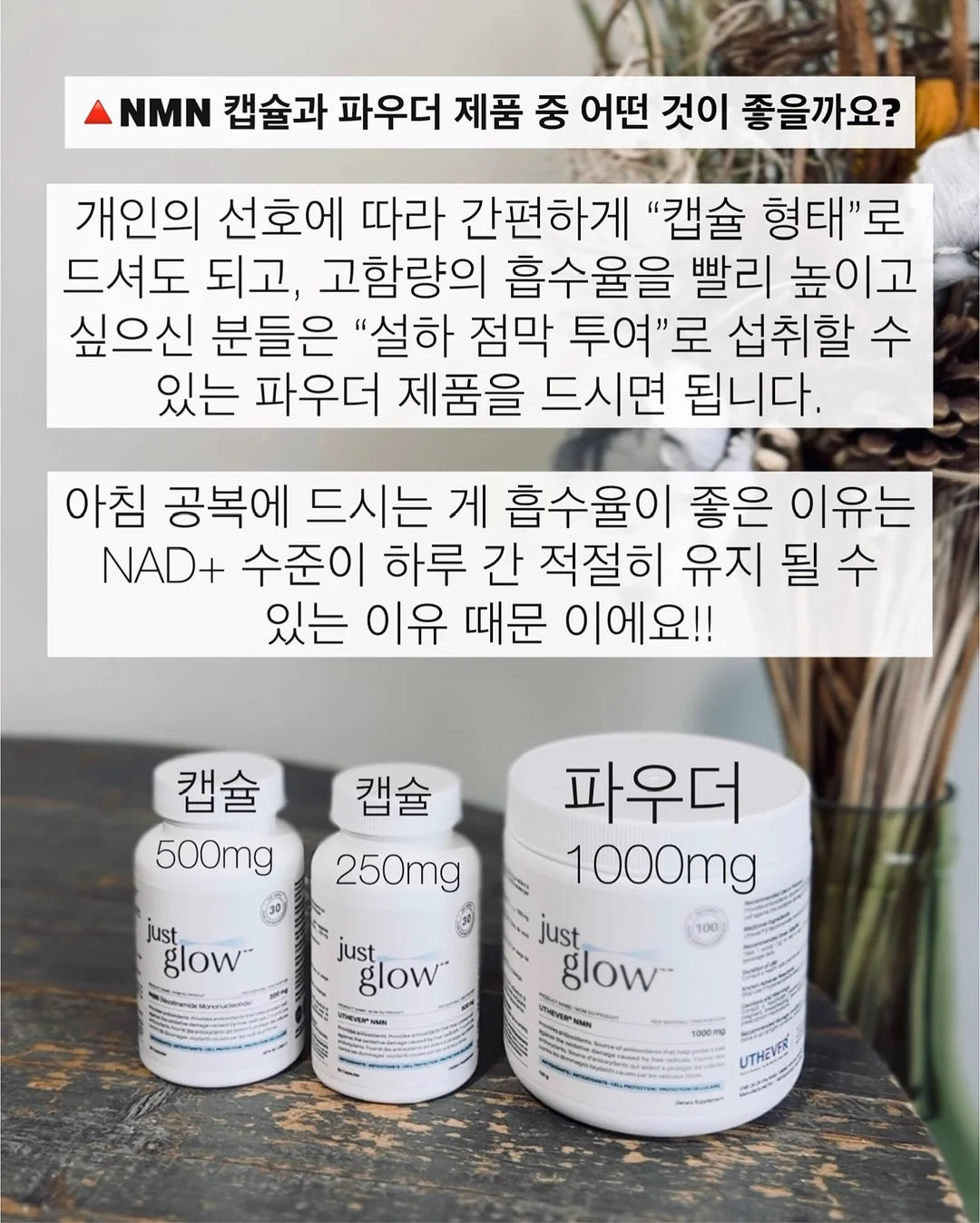 소분용기 9