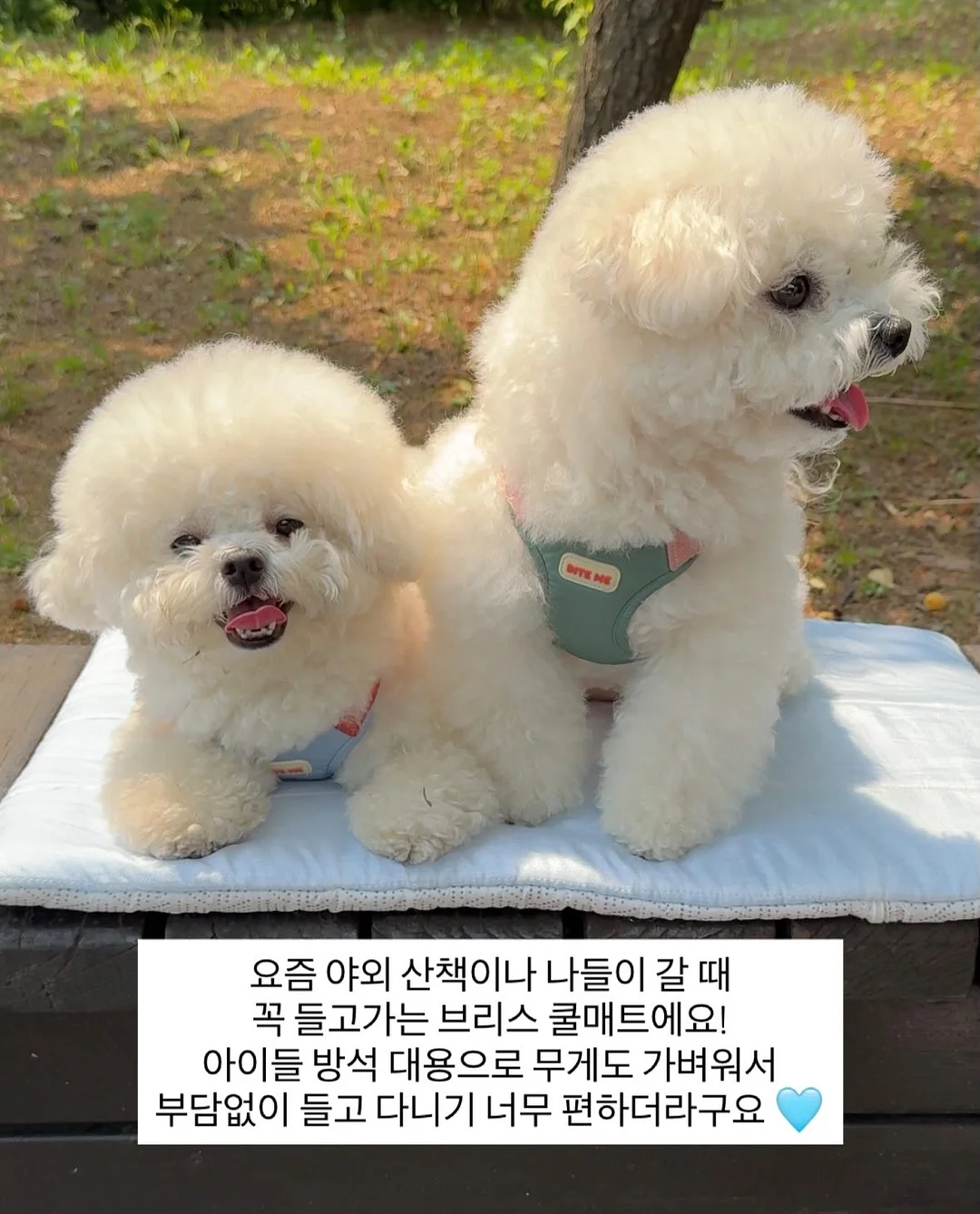 벽 얼룩 셀프 보수템 5