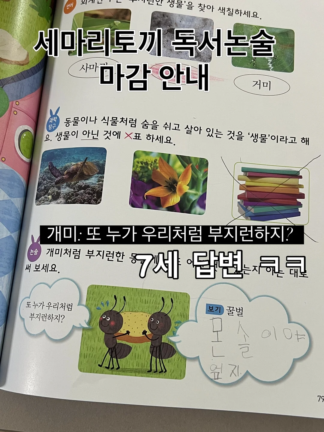 벌레 퇴치기 1