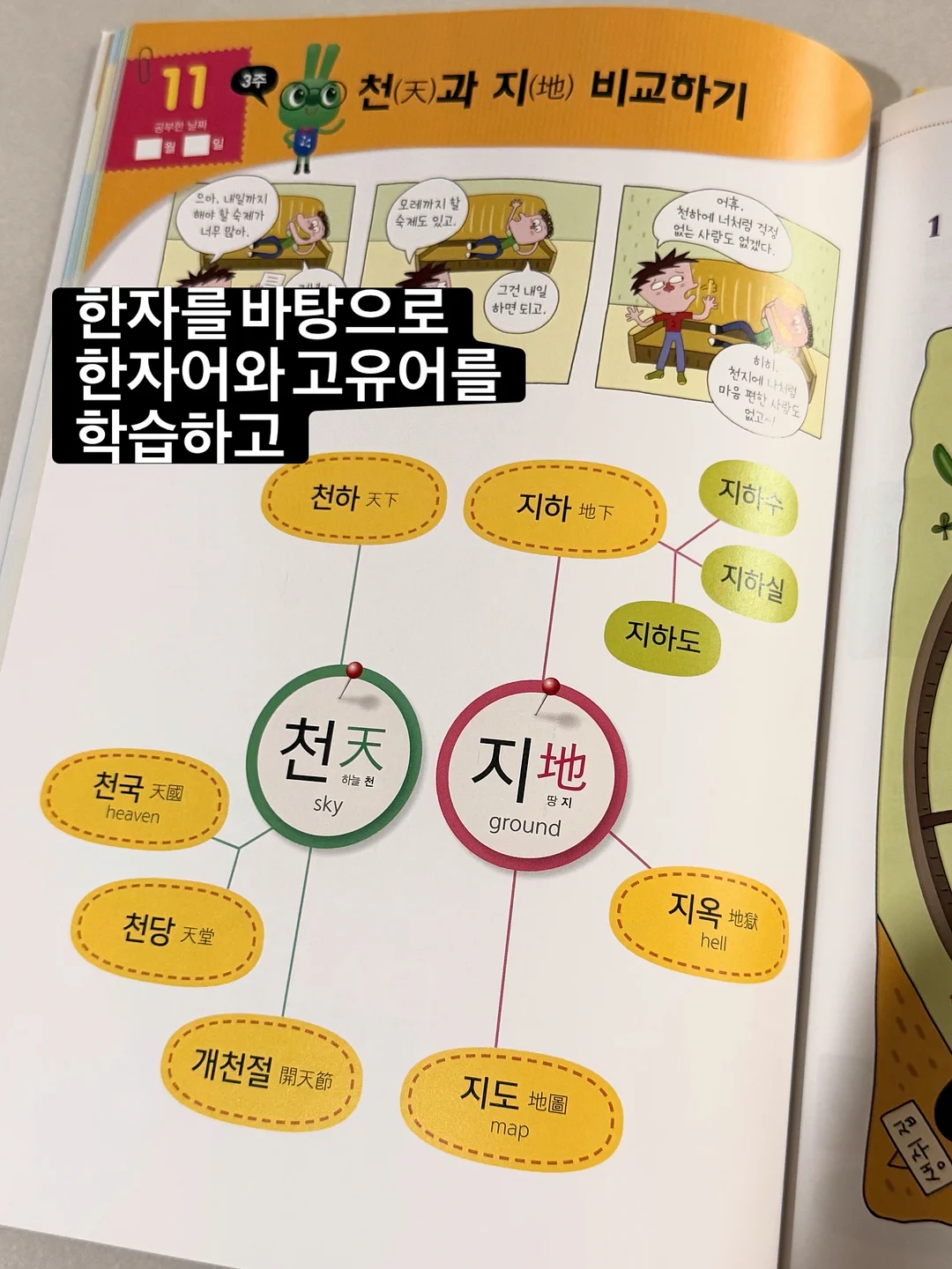 벌레 퇴치기 8