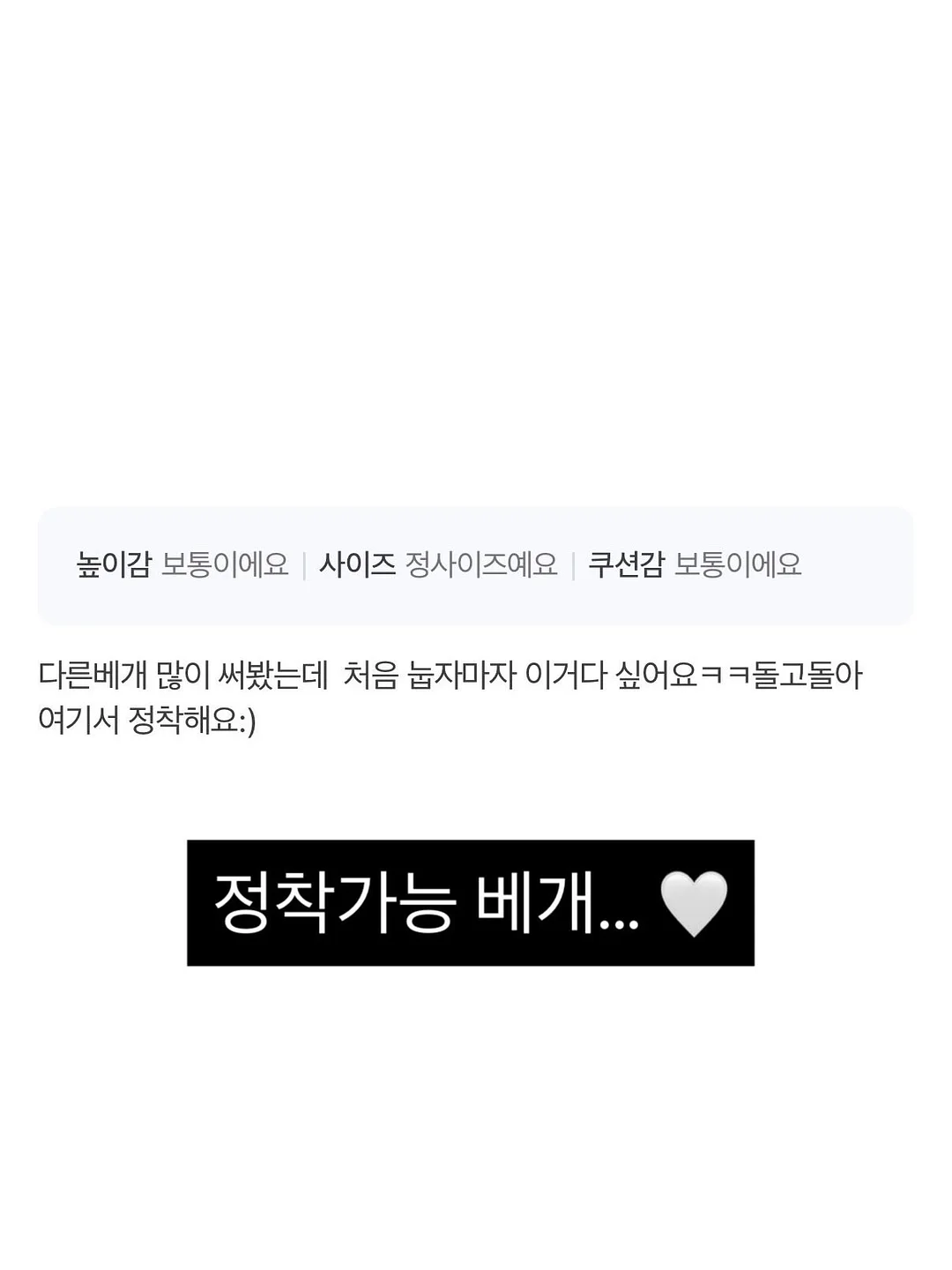 레터링 반팔티 8