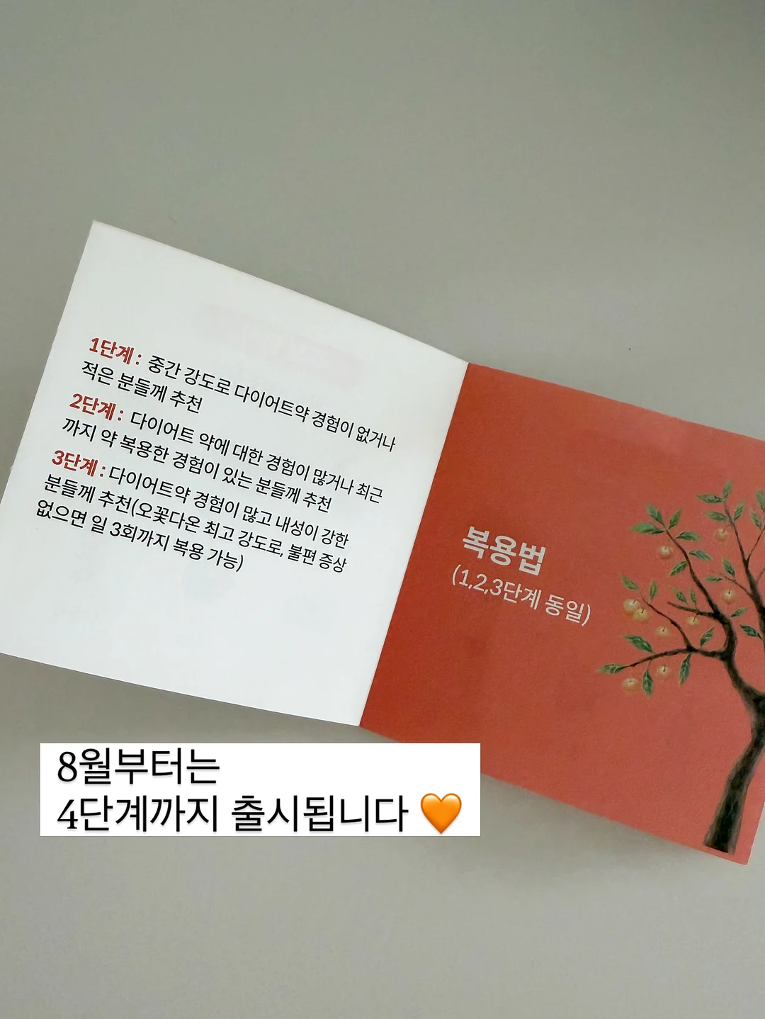 여성복 5