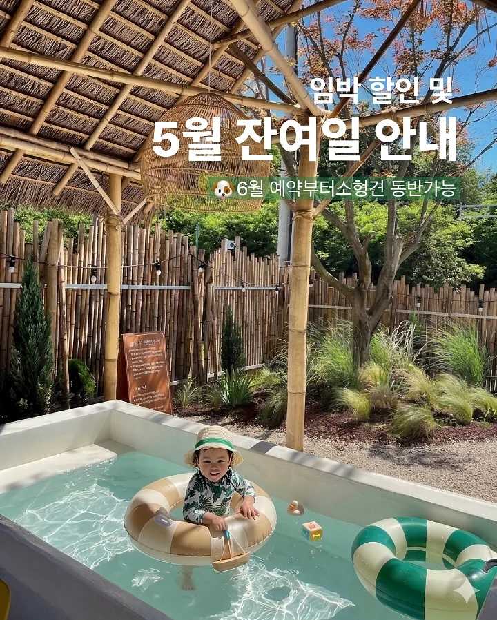 냉장고 정리 비밀백 1