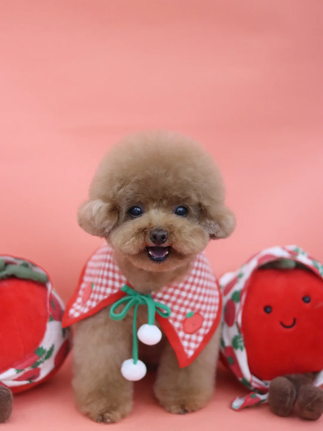 파빌라 화목난로 2
