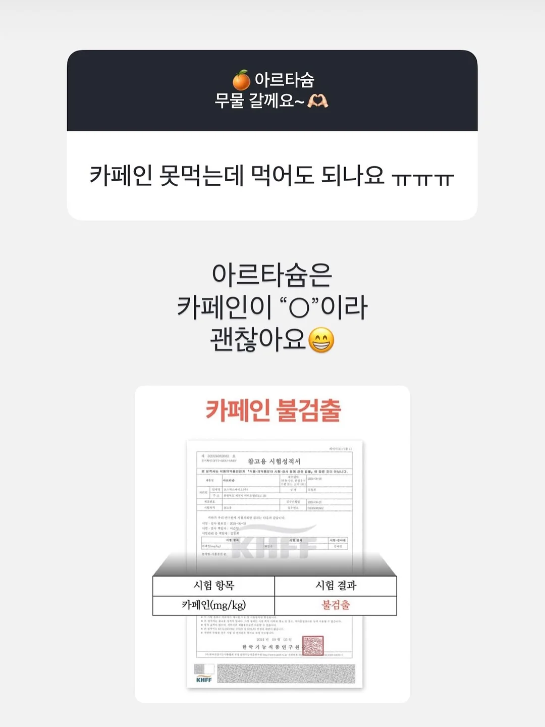 파빌라 화목난로 5