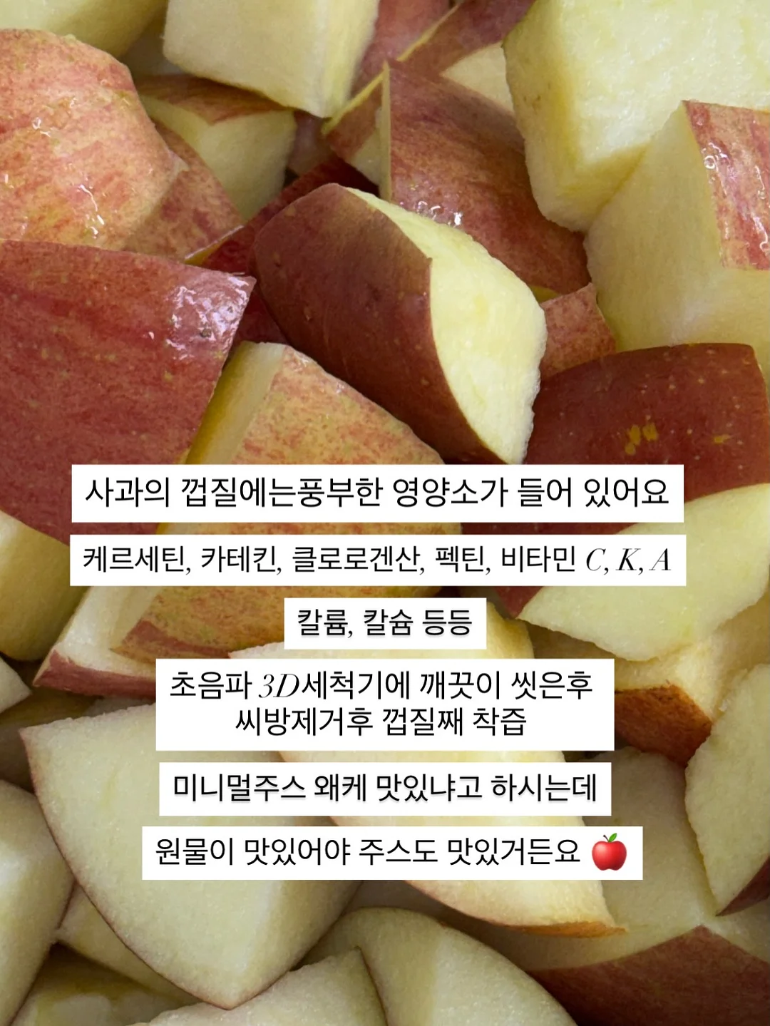 리코타 샌드위치 14