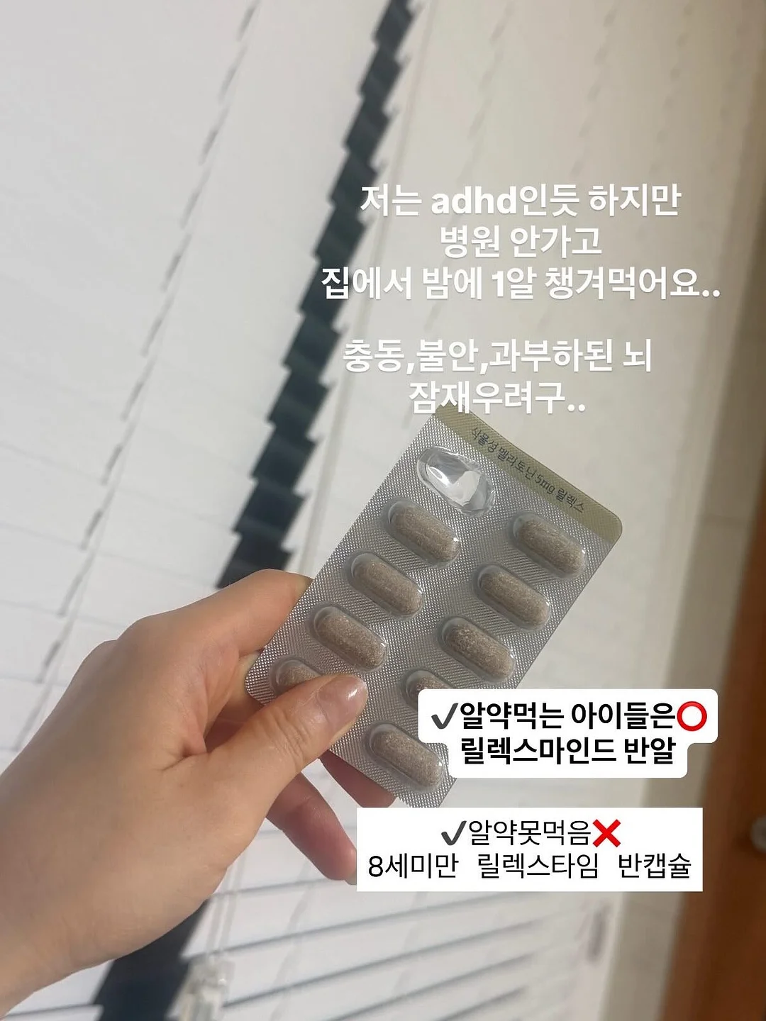 견과류 16