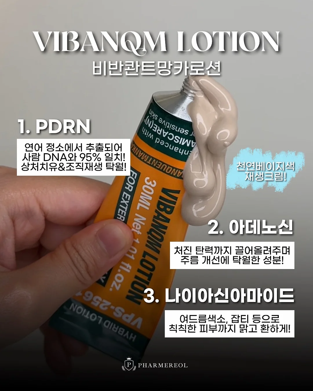 뉴질랜드 레드 배 3