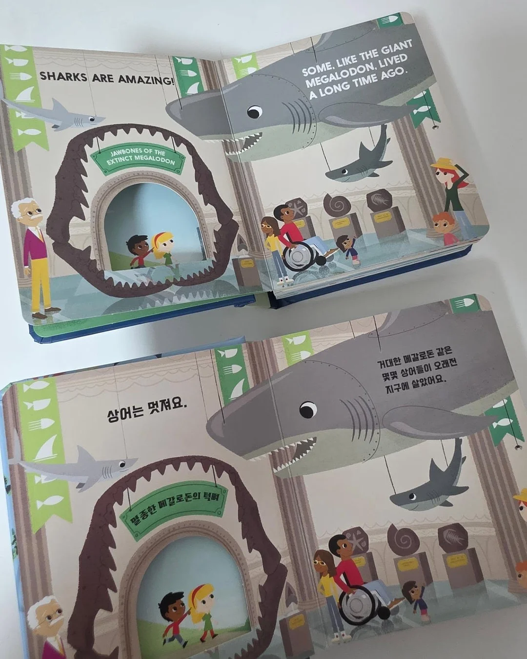 무안 황토 햇 양파 5kg 8