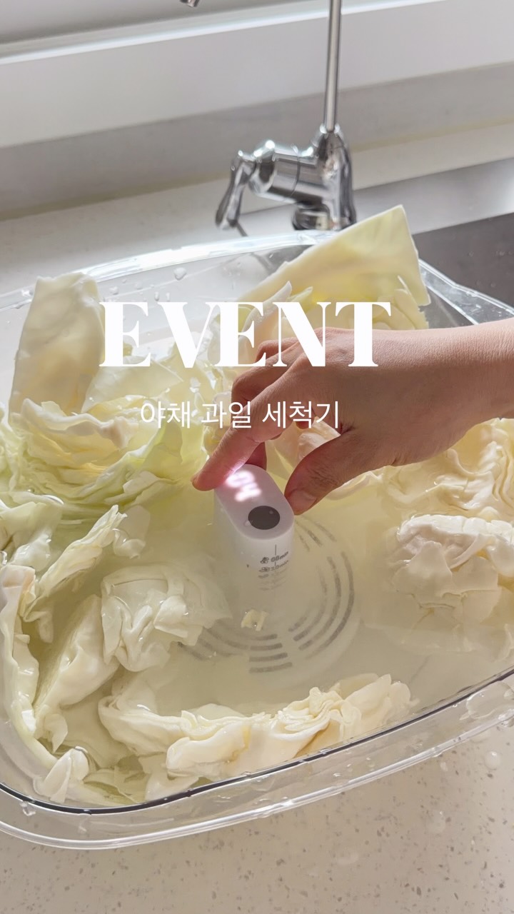 디즈니 트래블백