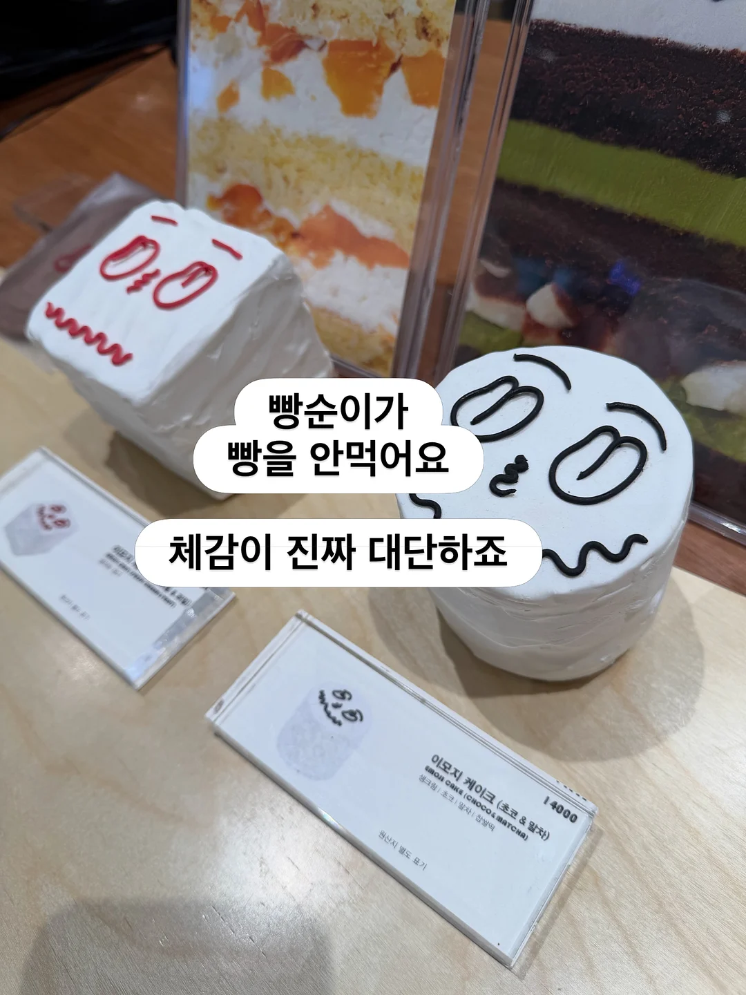 비키니 댕댕이 키링 7