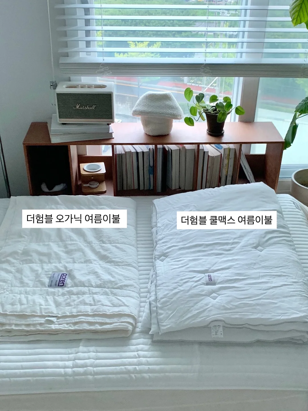 보이는 불안 & 선택적함묵증 7
