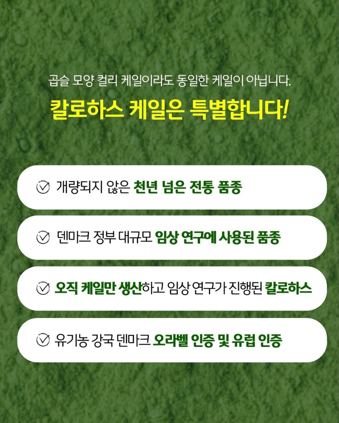 카고컨테이너 메가 워터 저그 2