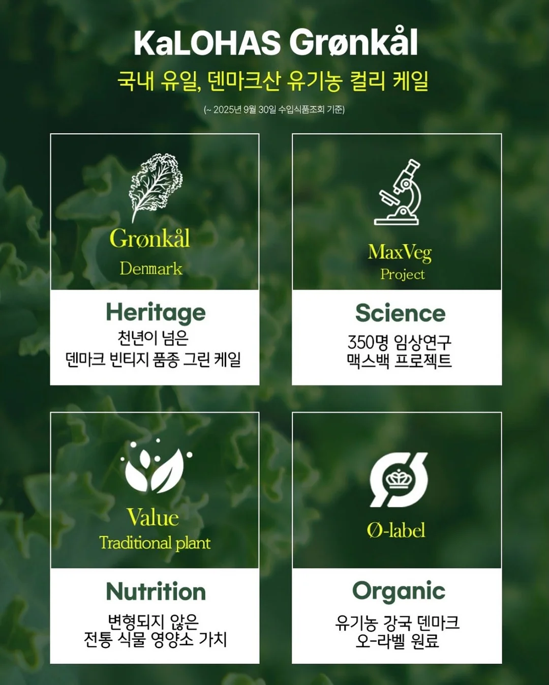 카고컨테이너 메가 워터 저그 3