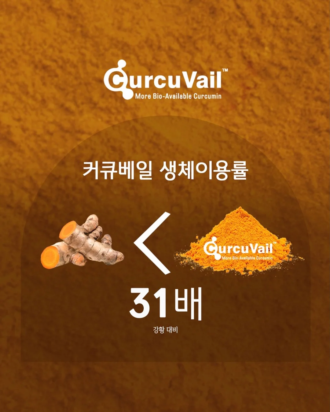 카고컨테이너 메가 워터 저그 4