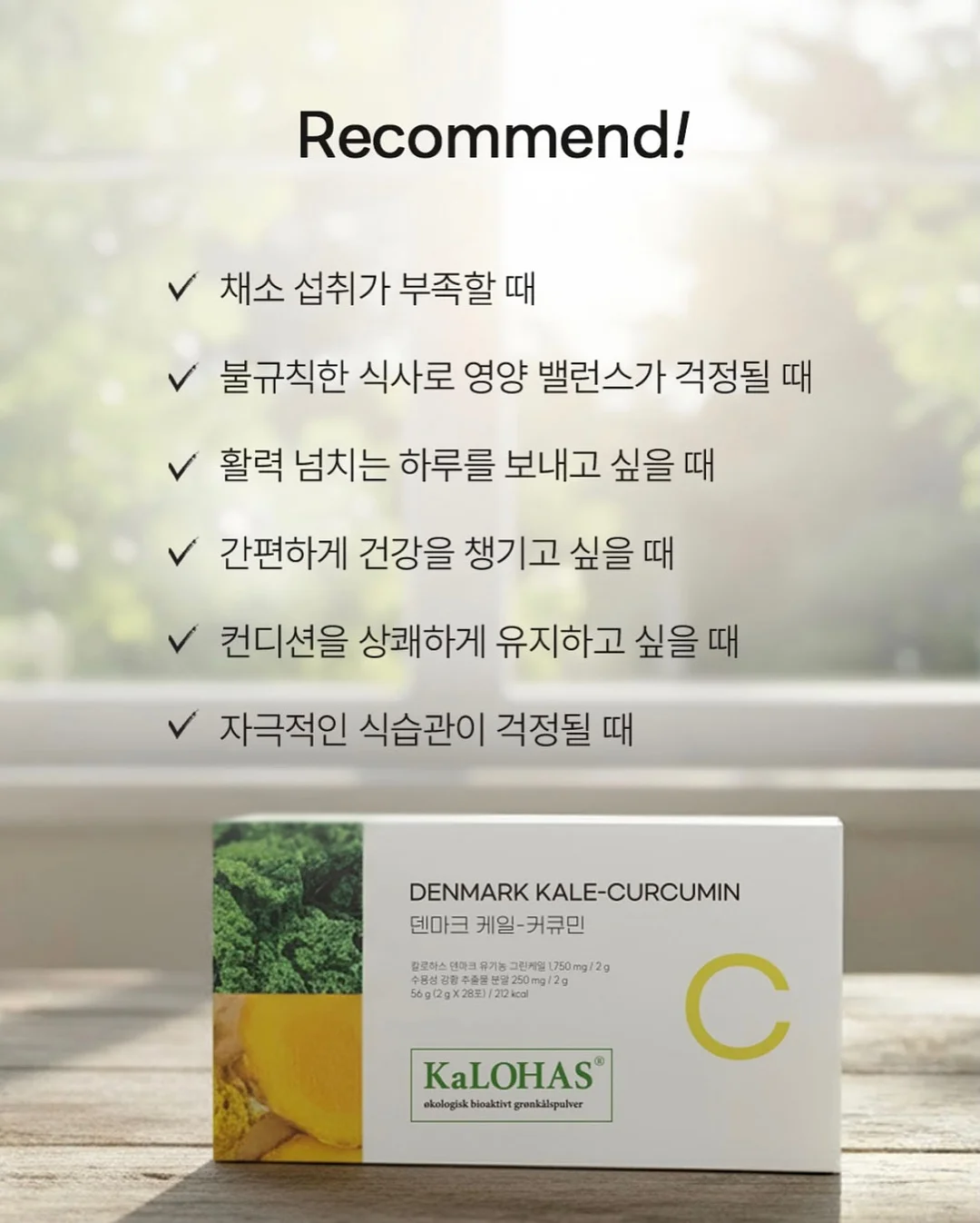 카고컨테이너 메가 워터 저그 5