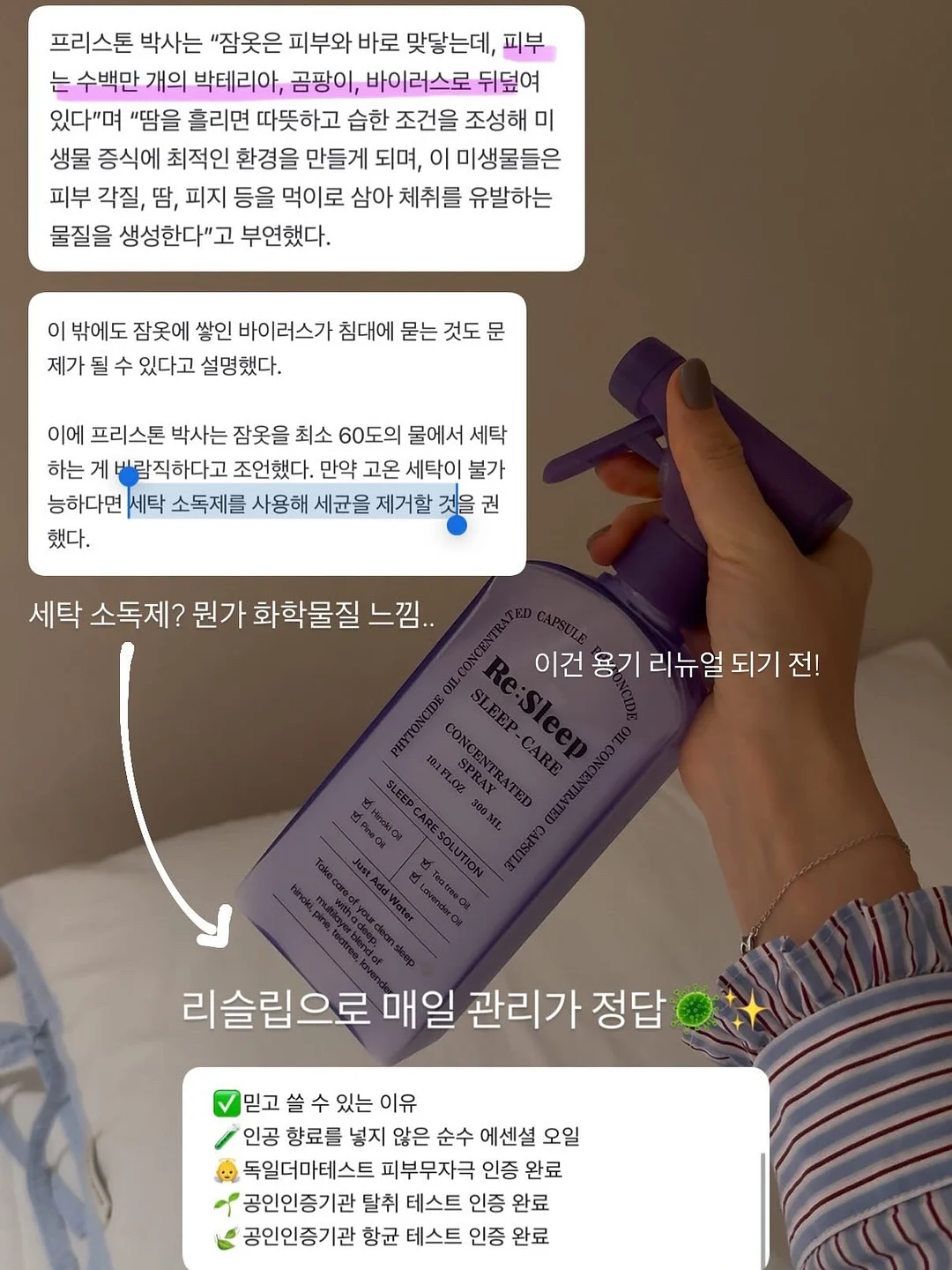 능소화 플라워스튜디오 여름 꽃 13
