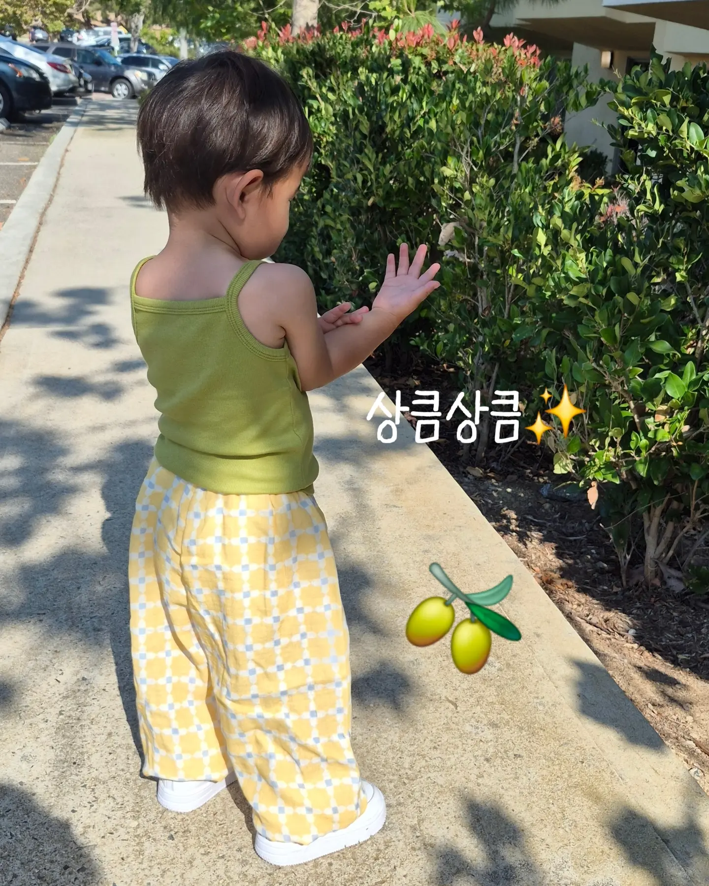 원슈가데이 그로서리 VEGAN 제품 3