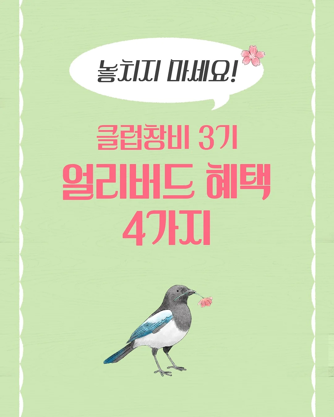 알레피아 블랙솝 1