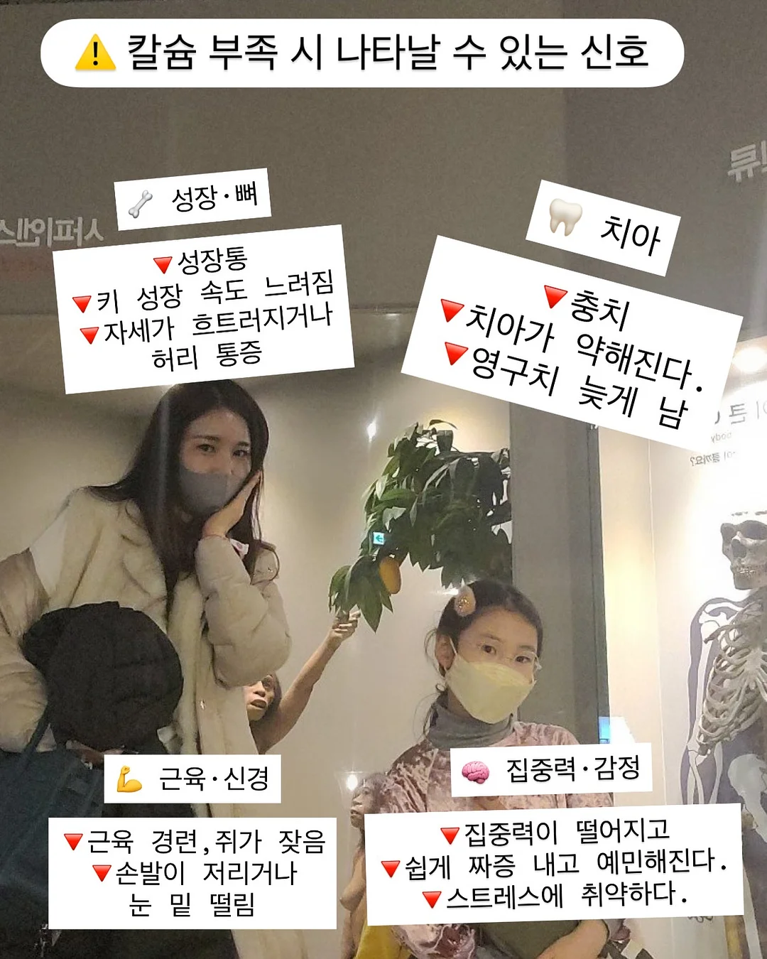 더쌀랩 쌀 티 12