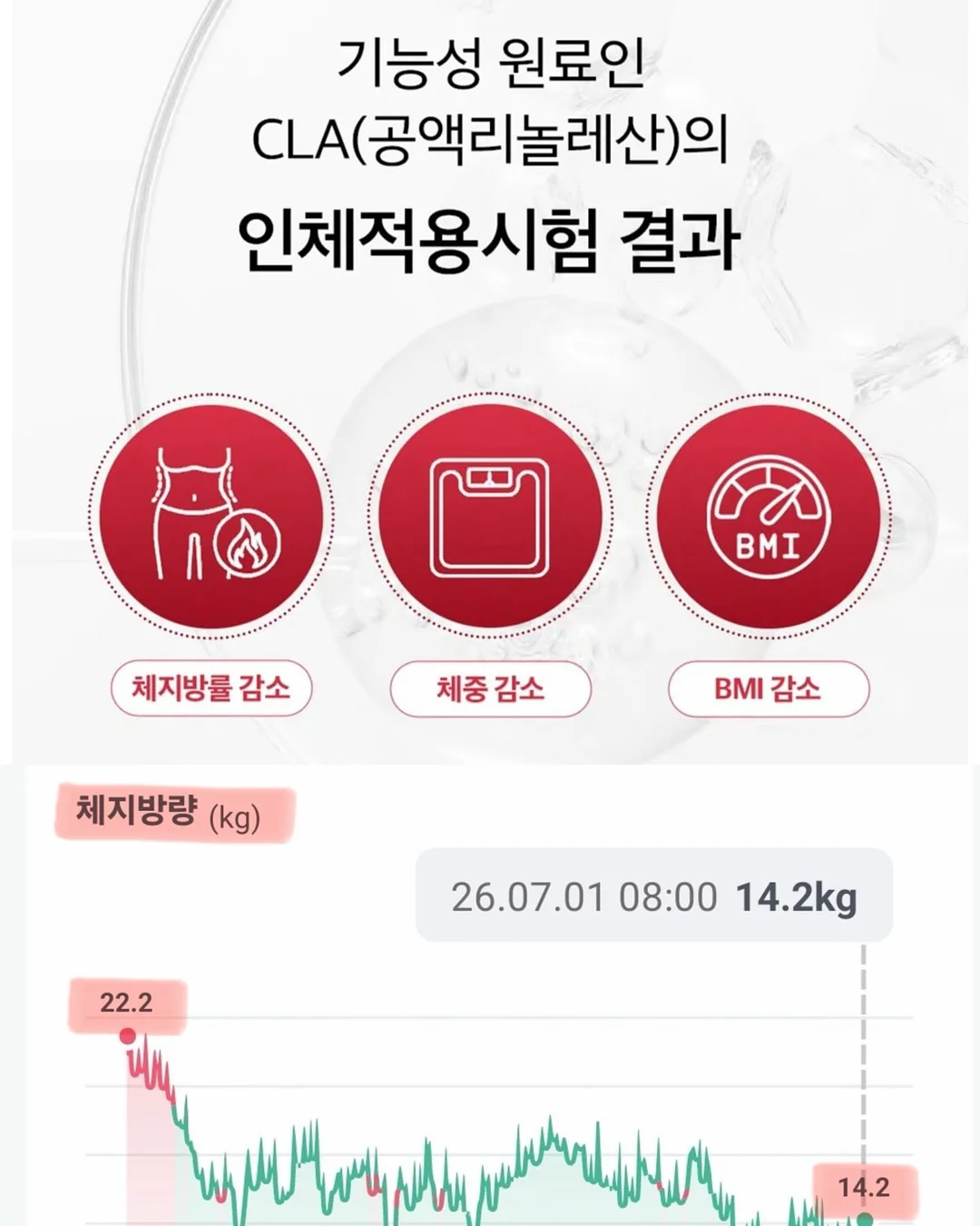 피에브 고체 탈취제 2