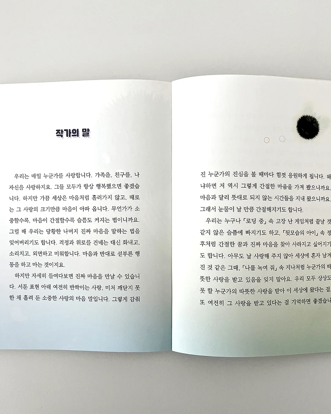 제스프리 루비레드키위 14