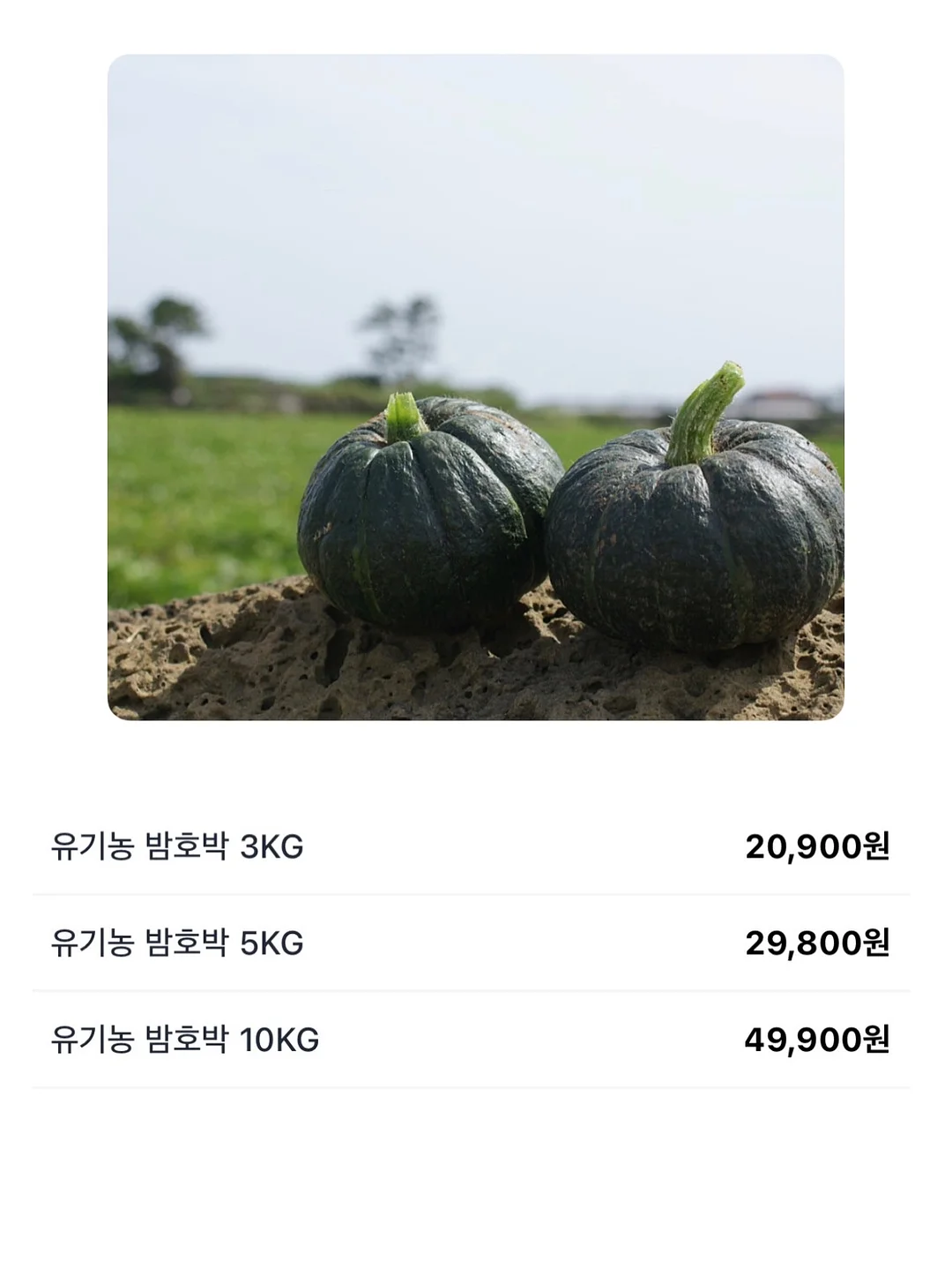 자몽토마토블랜디드 13