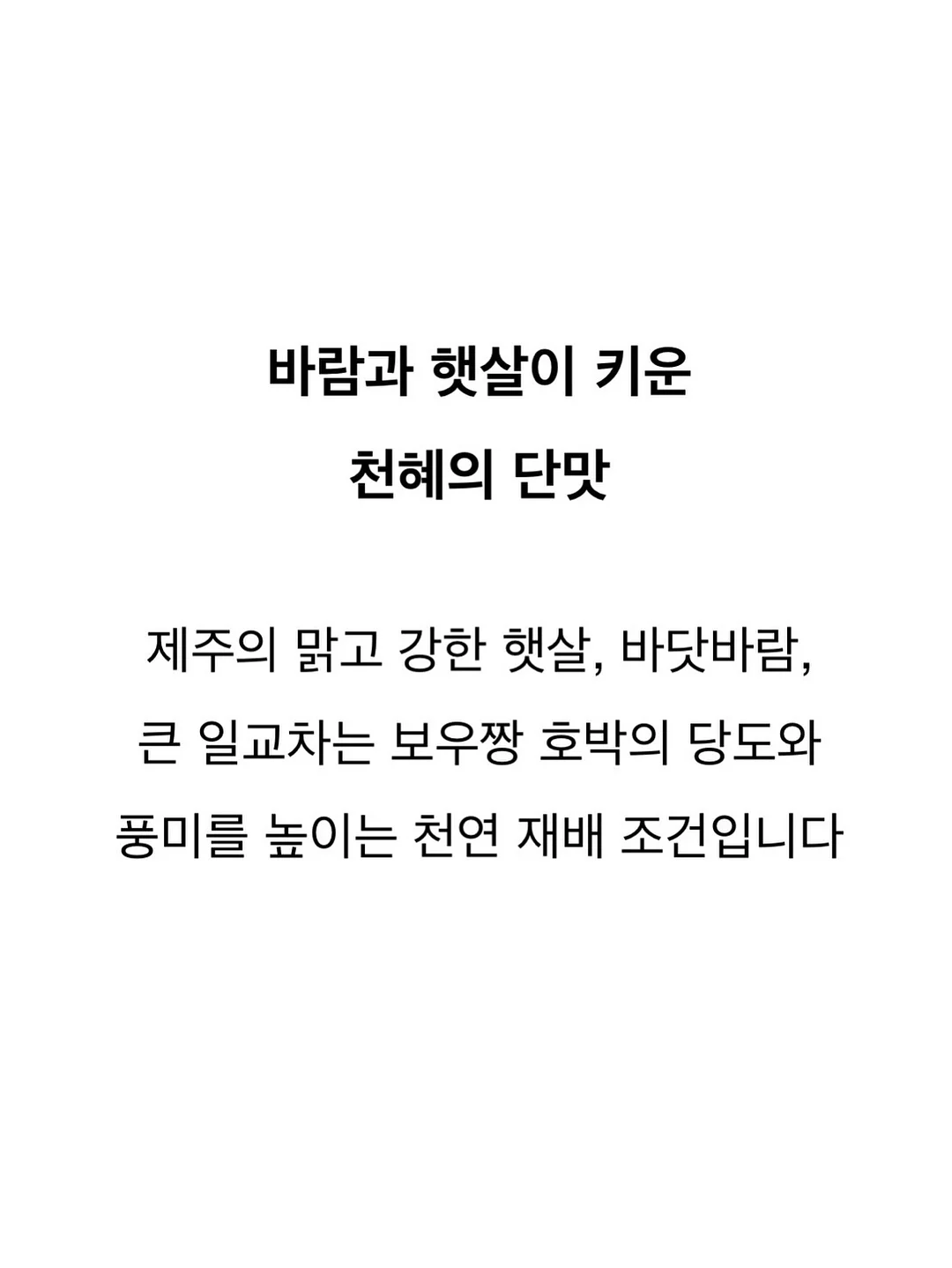 자몽토마토블랜디드 16