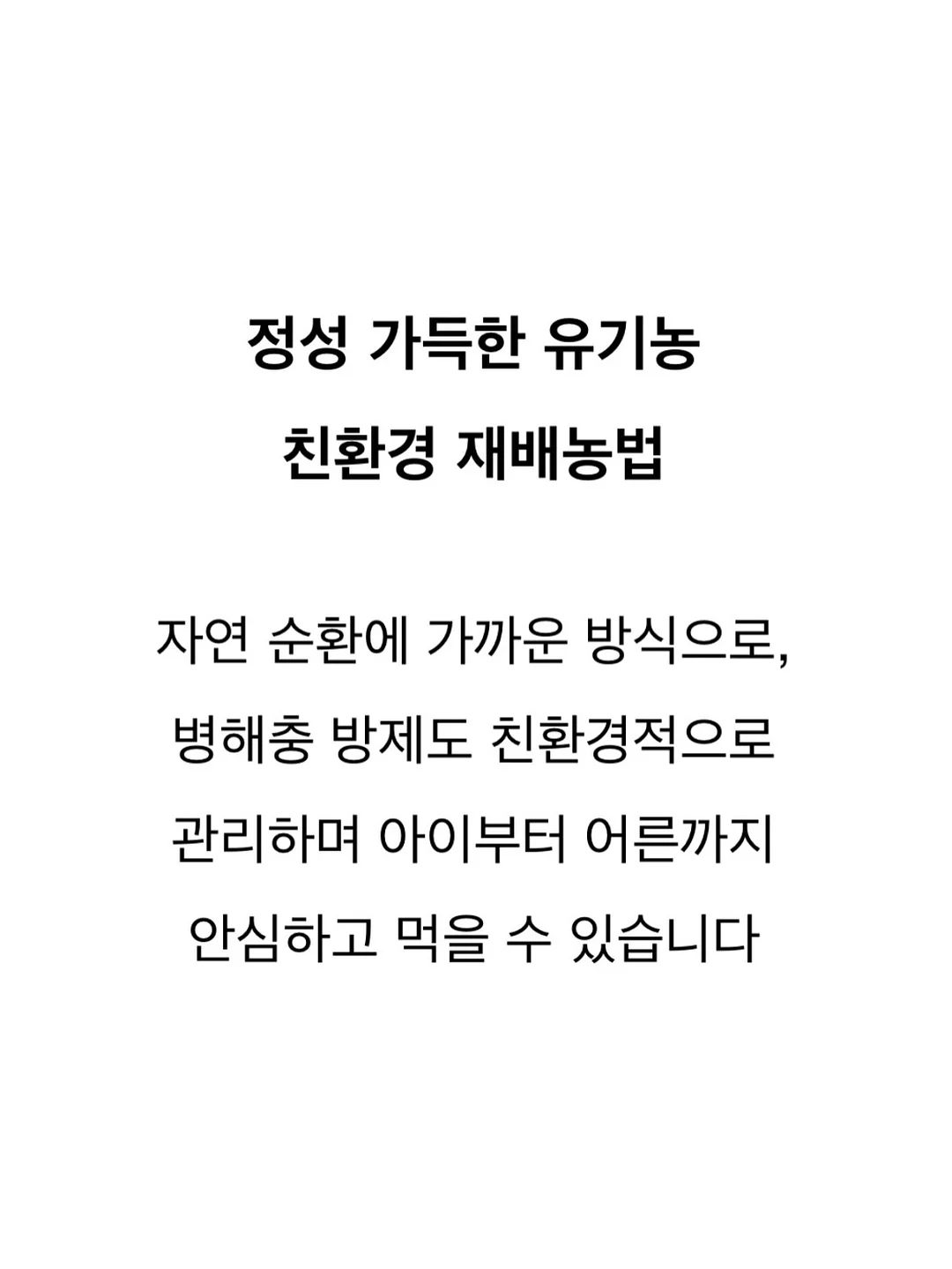 자몽토마토블랜디드 17