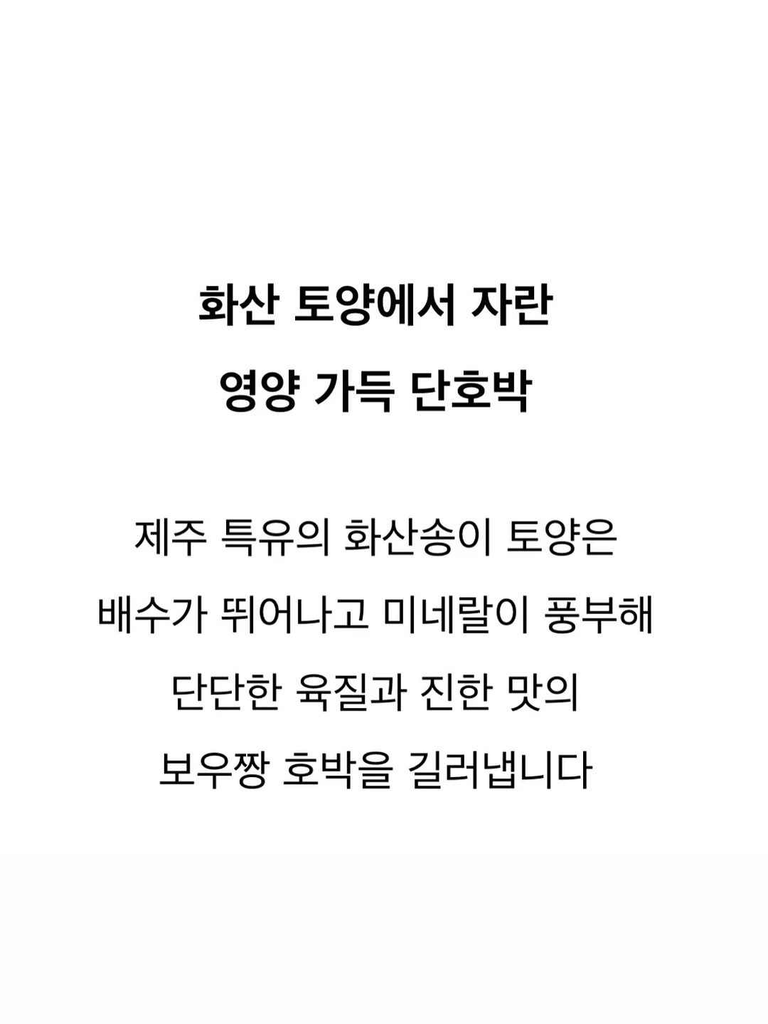 자몽토마토블랜디드 18