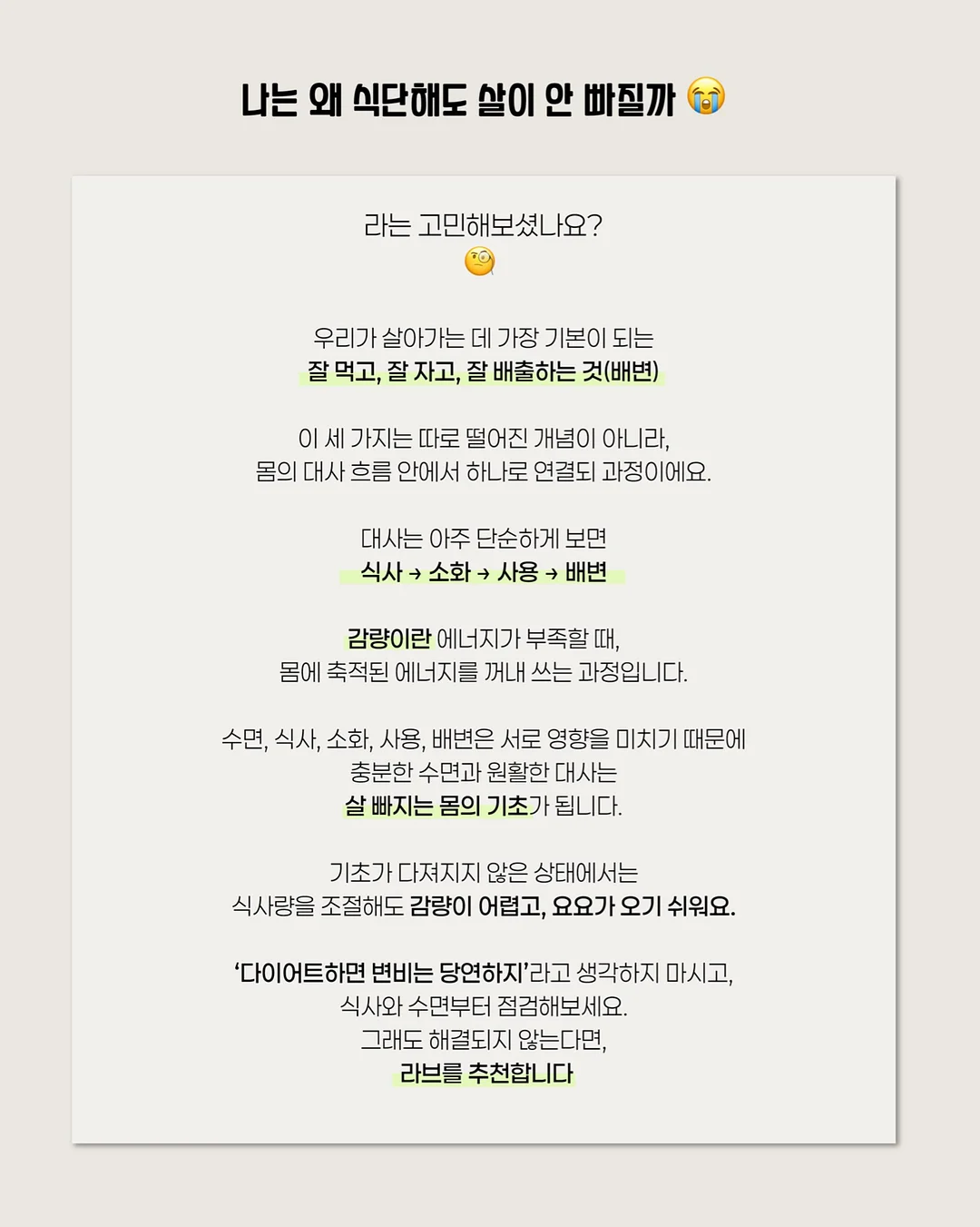 블루베리 케이크 8