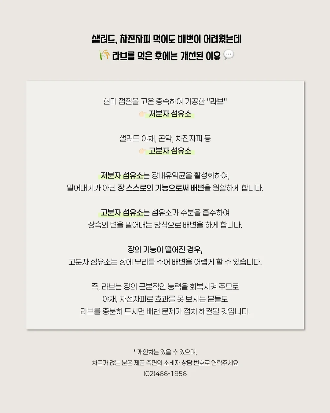 블루베리 케이크 10