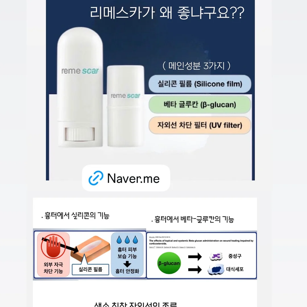 브라운 마그넷 6
