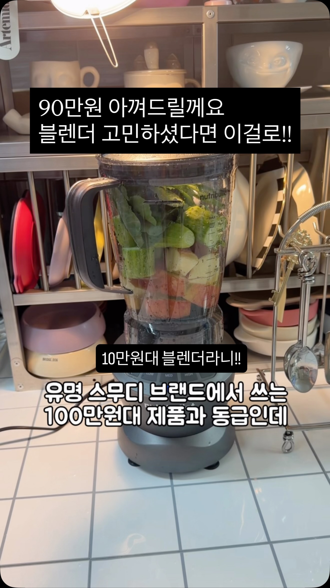 쇼펜하우어 인생수업