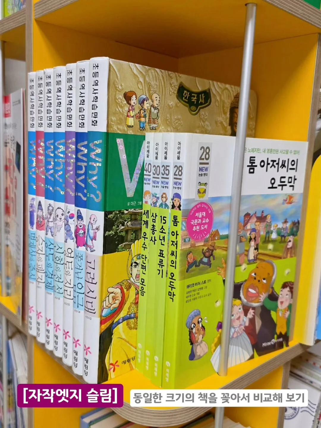 첨이 배변팬티 12