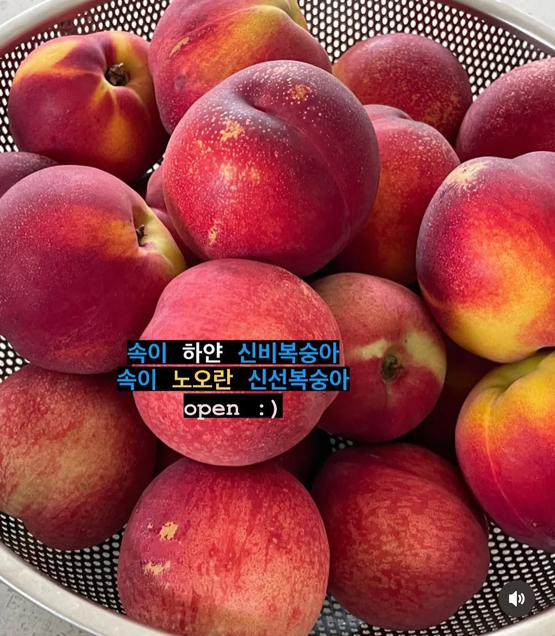 다이소 뷰티템 1
