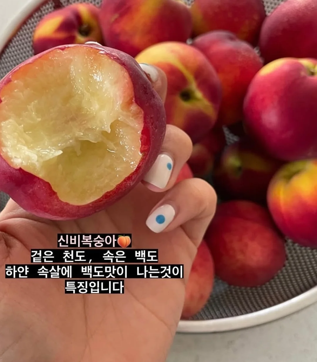 다이소 뷰티템 2