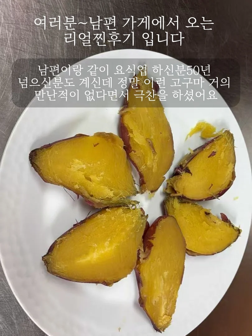 ORT x 빅캣 퓨처팩 11
