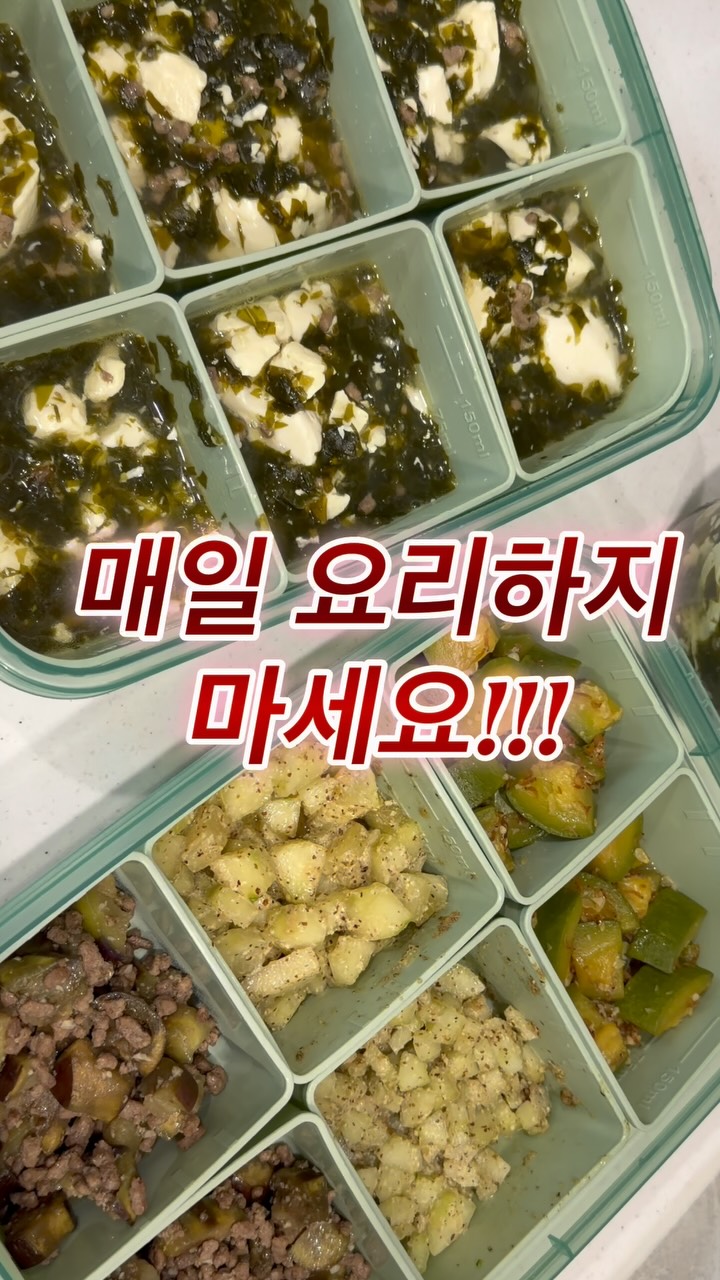 대학생 코디