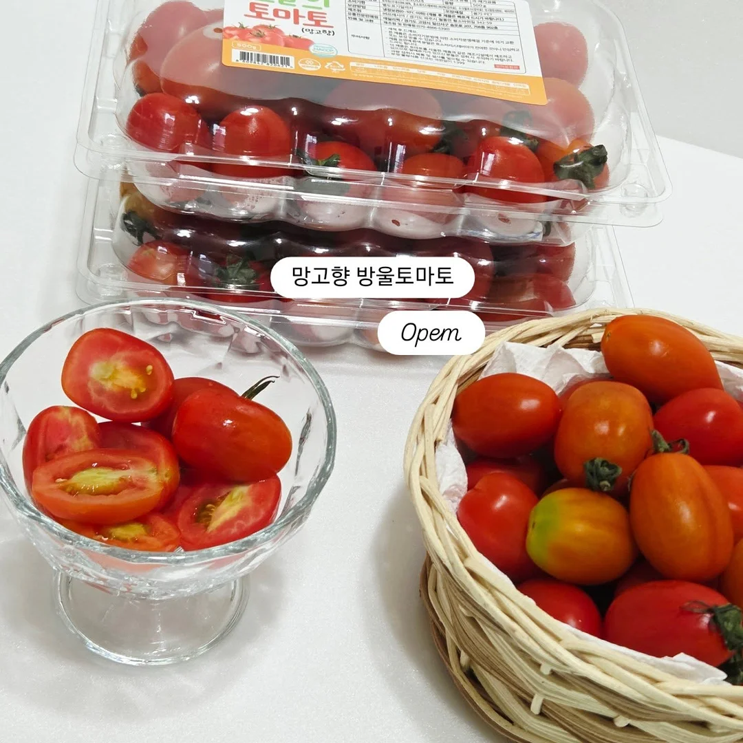 일회용 냄비 세트 1