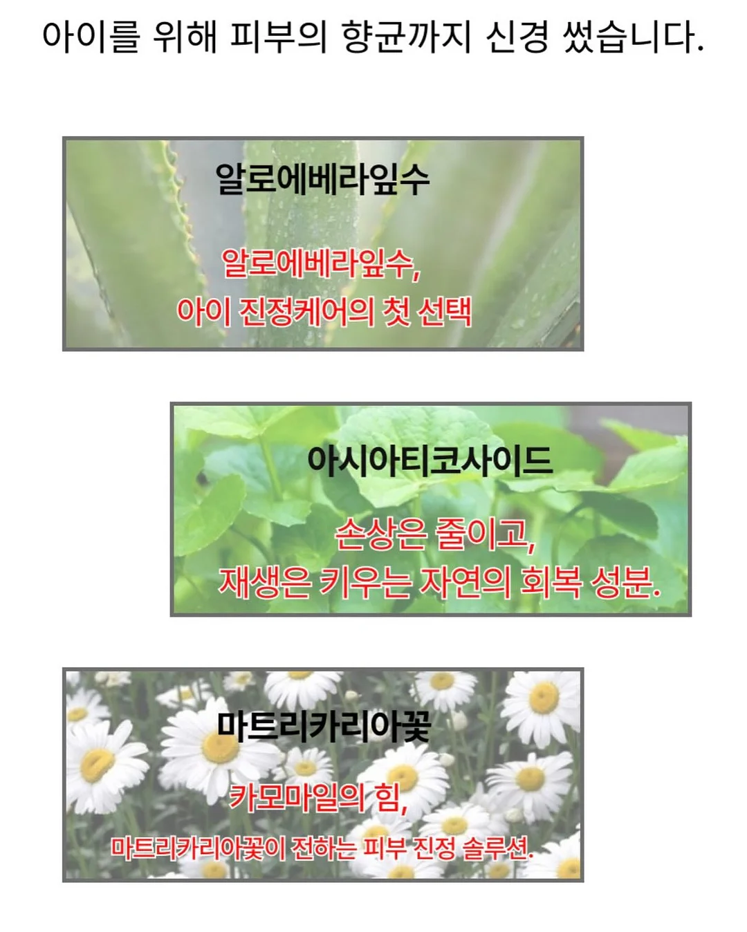 데일리백 12