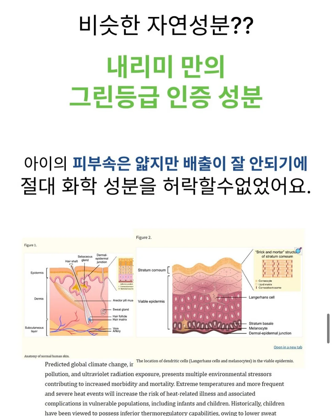 데일리백 8