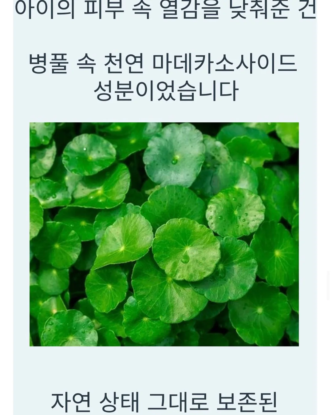 데일리백 9