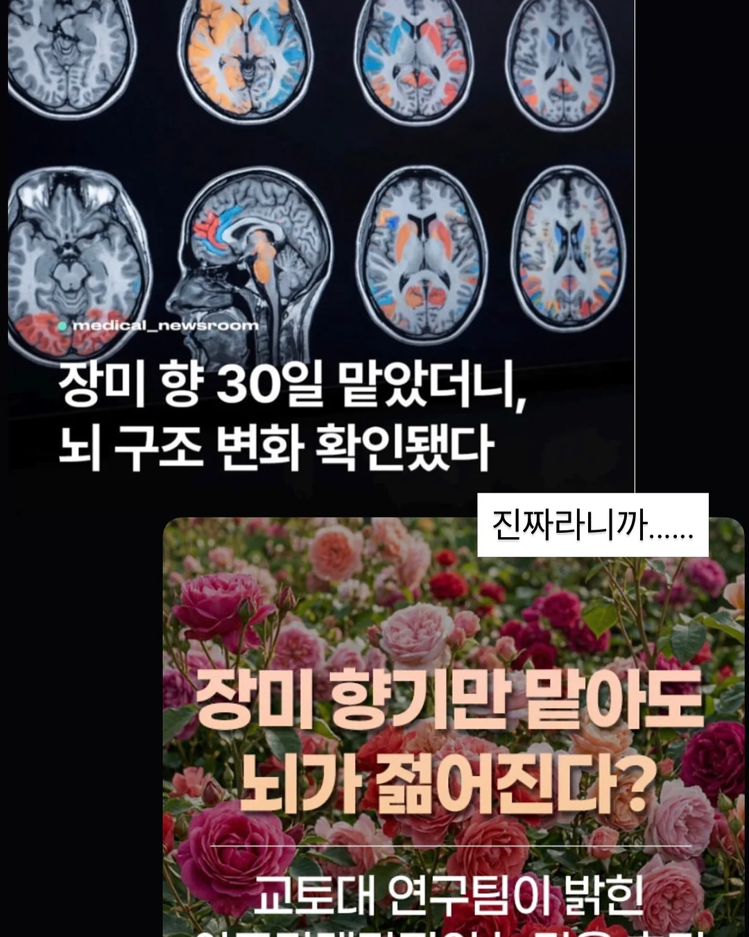 쿠팡 꿀템 3