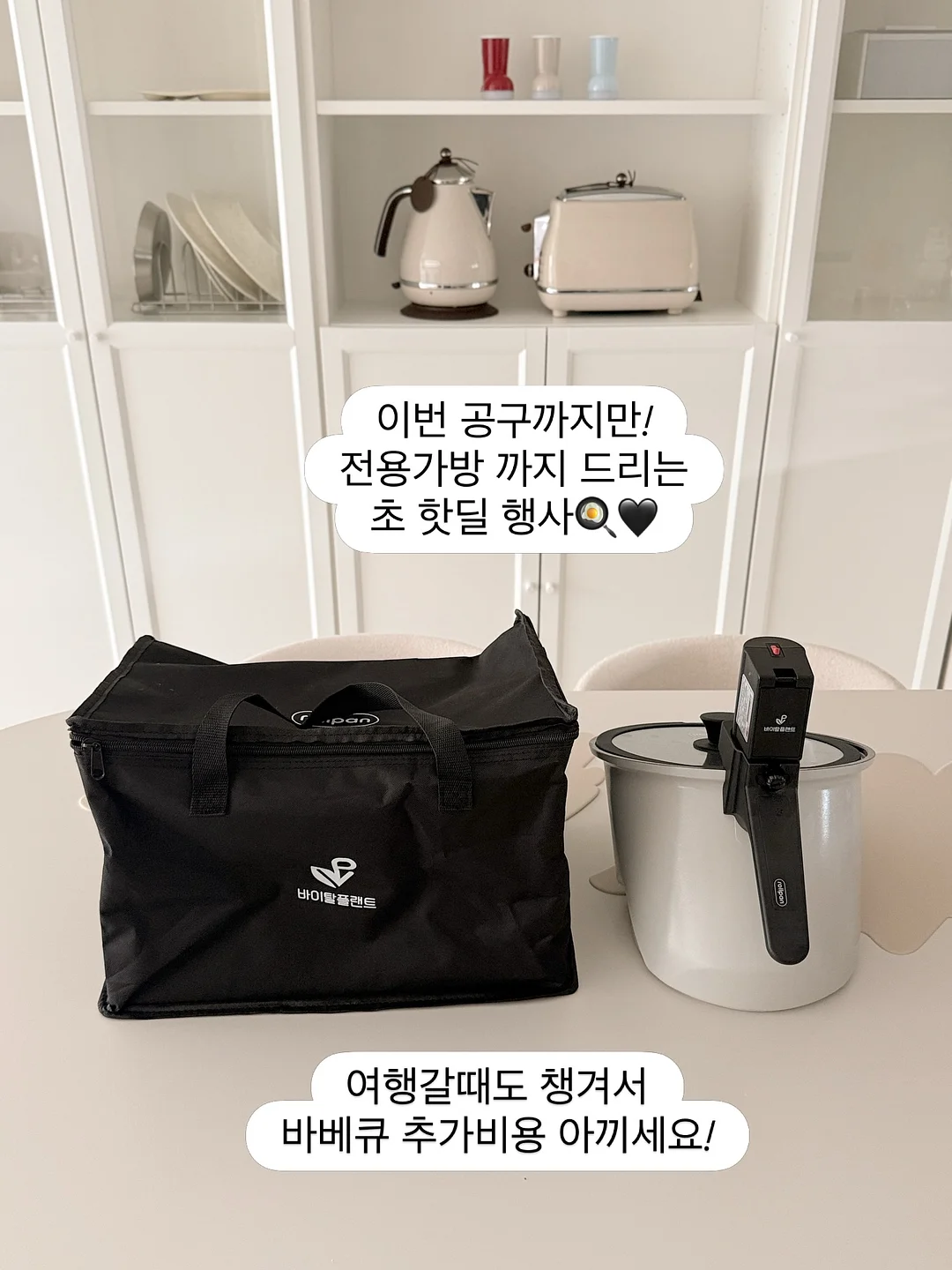 고양이 모래매트 2