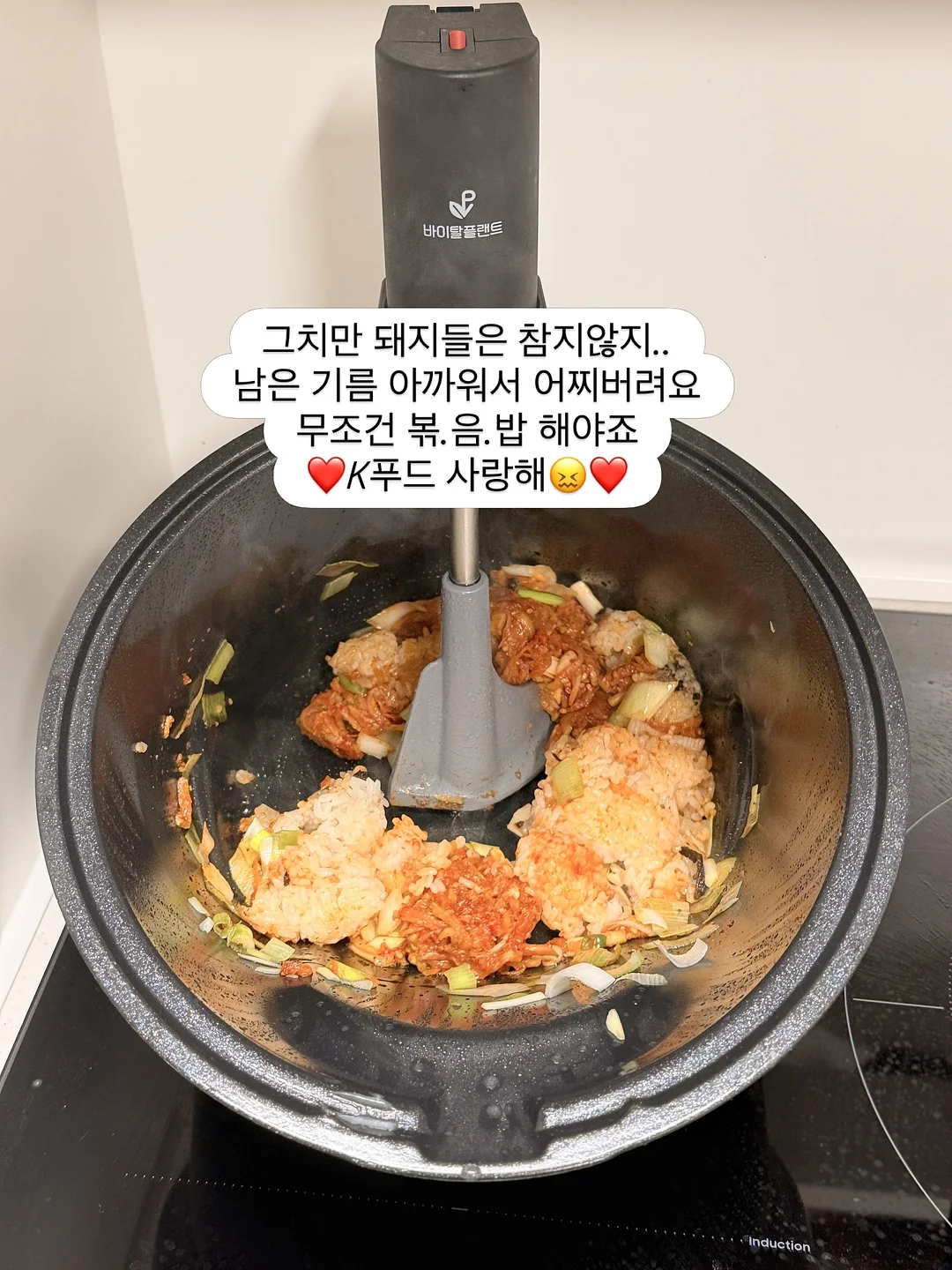고양이 모래매트 7