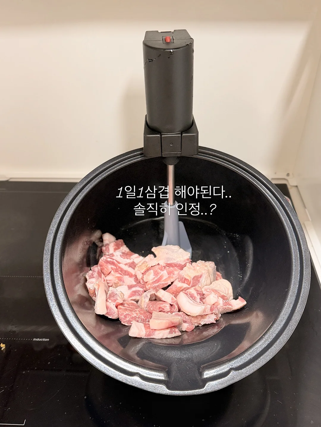 고양이 모래매트 9